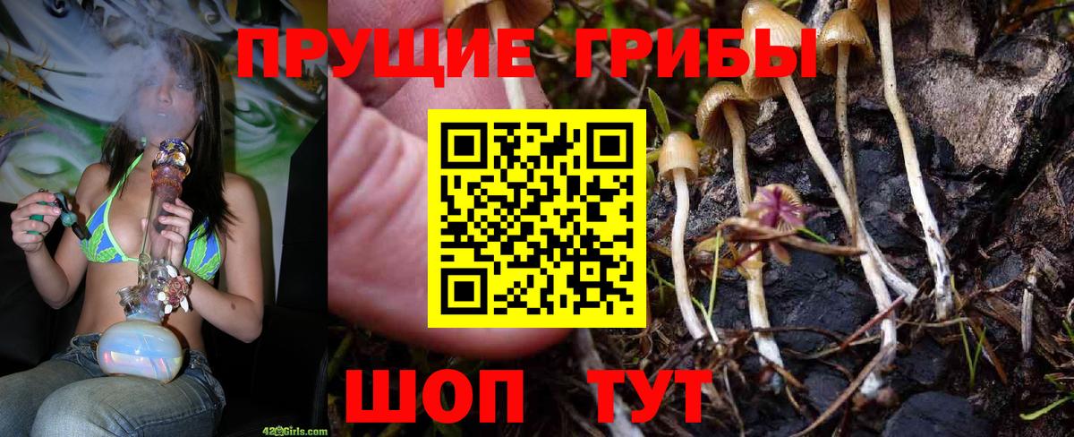 Псилоцибиновые грибы мухоморы Изобильный