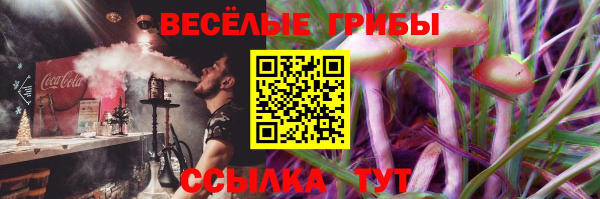 Изобильный  купить  сайты  Вход с VPN  Псилоцибиновые грибы ЛСД 