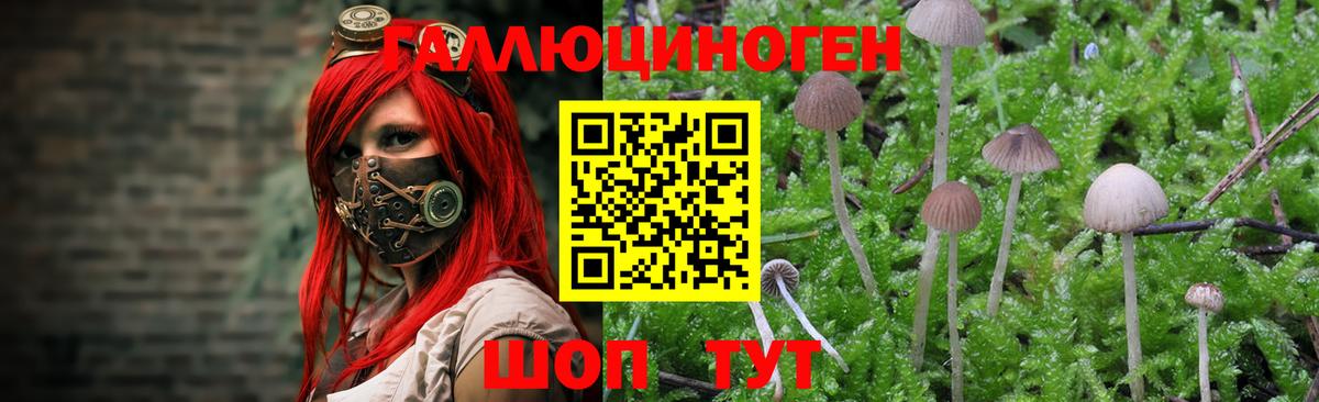 Каннабис Изобильный